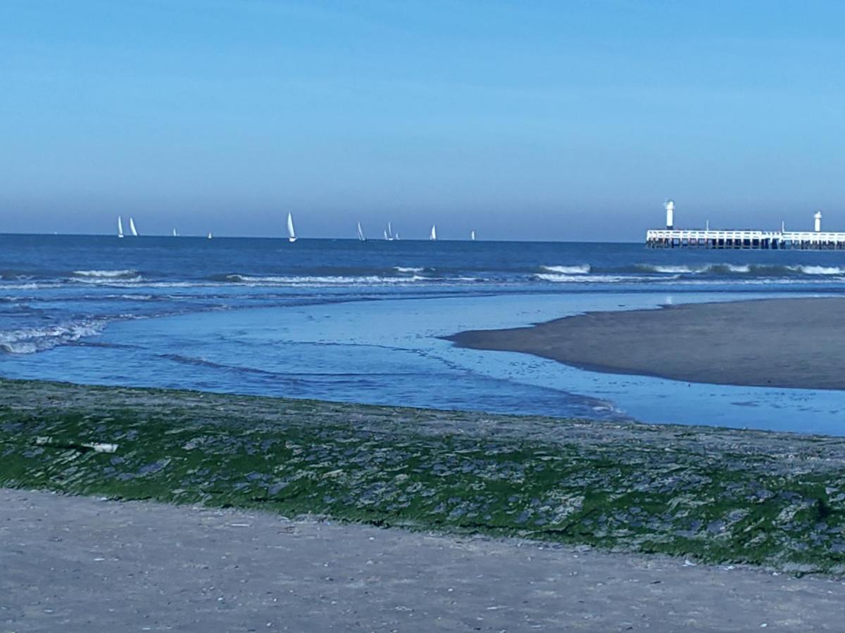 Studio Havenzicht Nieuwpoort Kültér fotó