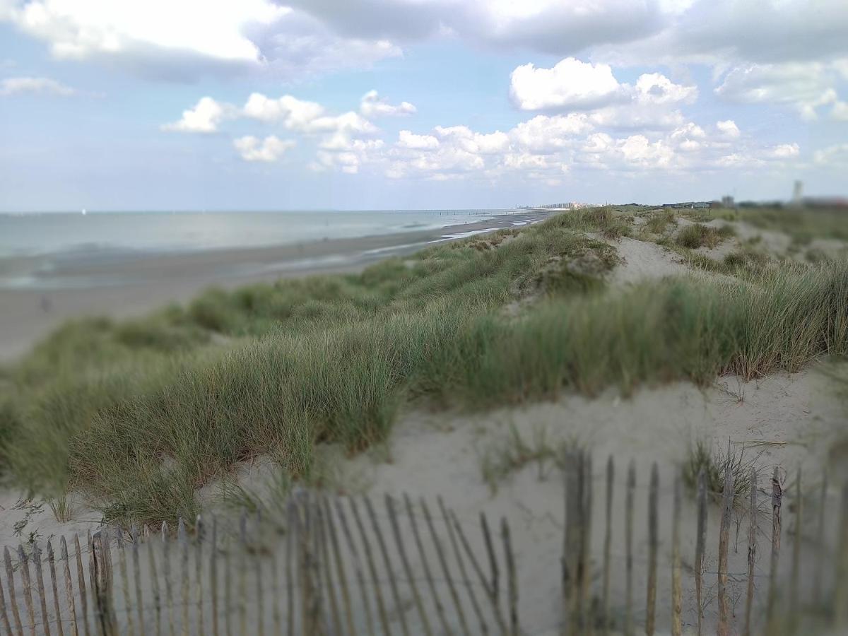 Studio Havenzicht Nieuwpoort Kültér fotó