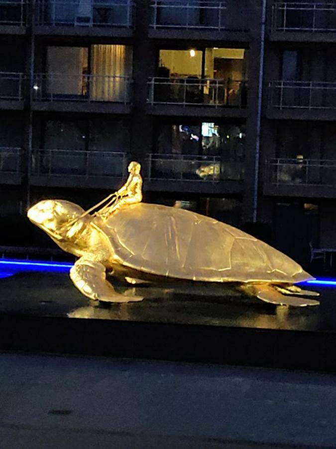 Studio Havenzicht Nieuwpoort Kültér fotó
